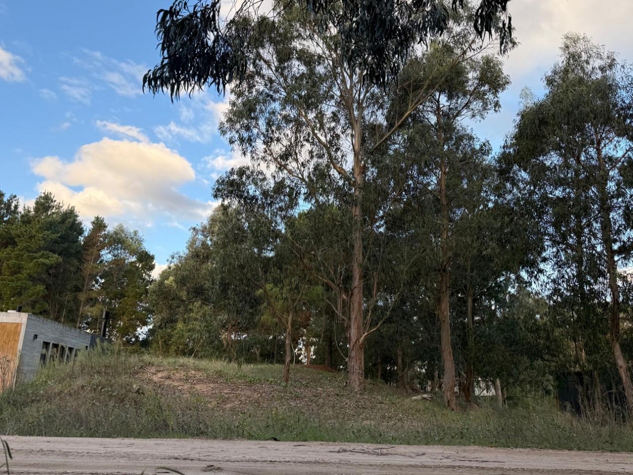 LOTE EN COSTA ESMERALDA
