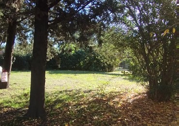 LOTE 30 X 30 = 900M2